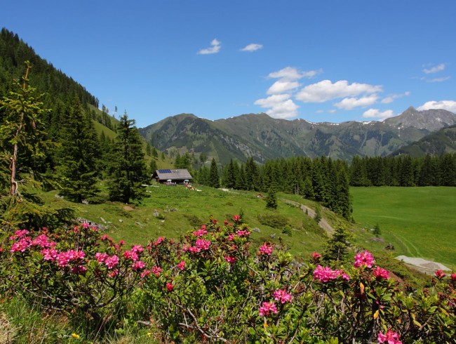 Wanderung zur Hirschgrubenalm © TVB Großarl